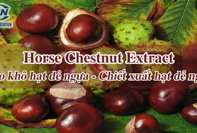 Cao khô hạt dẻ ngựa - Horse Chestnut Extract